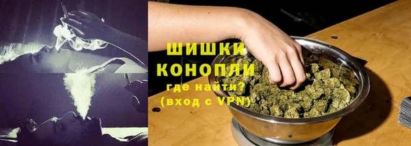 соль ск Пересвет