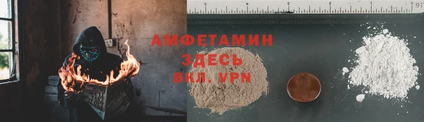 соль ск Пересвет