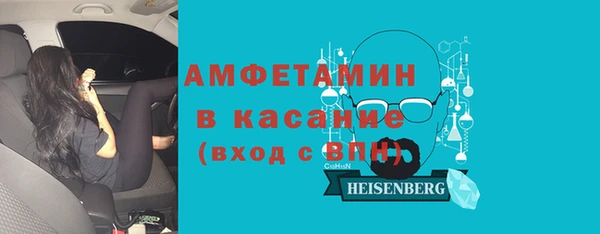соль ск Пересвет