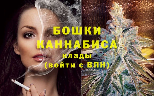ECSTASY Пестово