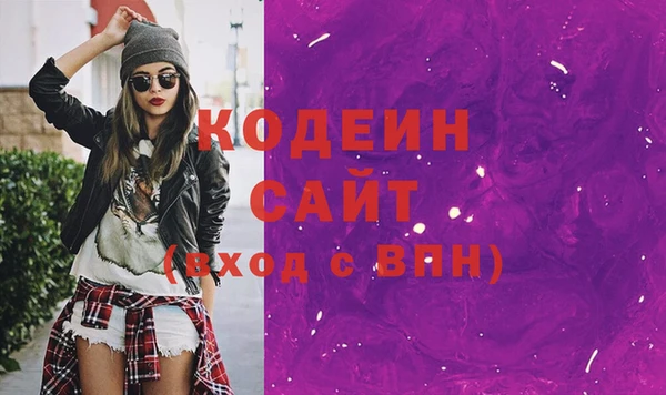 соль ск Пересвет