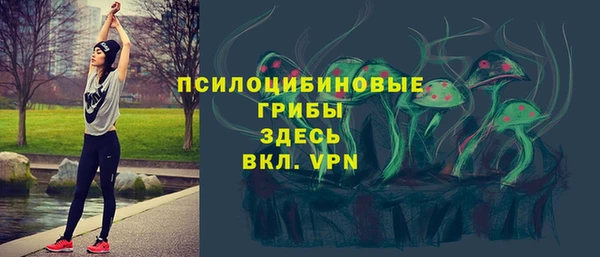 бутират Переславль-Залесский