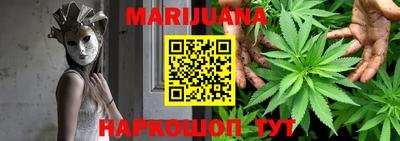 шишки Бийск