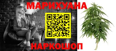 шишки Бийск