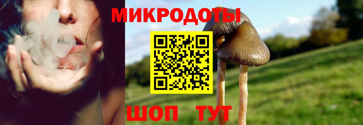 Галлюциногенные грибы мухоморы Кызыл